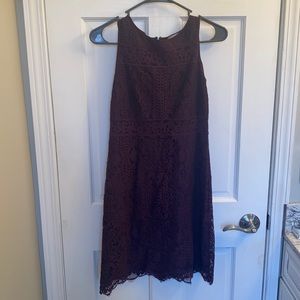 Loft Lace Mini Dress